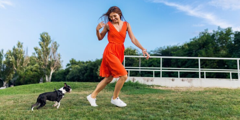 10 Atividades ao Ar Livre para Cachorros com Diversão e Exercício