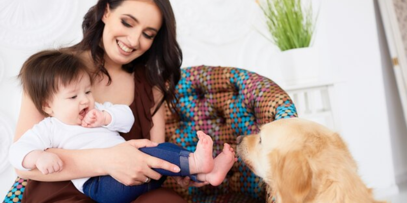 Comunicando com seu Pet sobre a Chegada do Bebê: Dicas