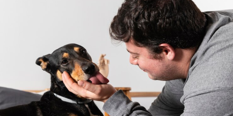 Sinais Silenciosos Revelando a Linguagem Corporal do seu Cão