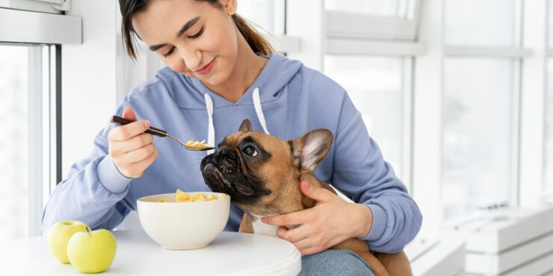 Cachorro Pode Comer Pêra? Descubra Agora