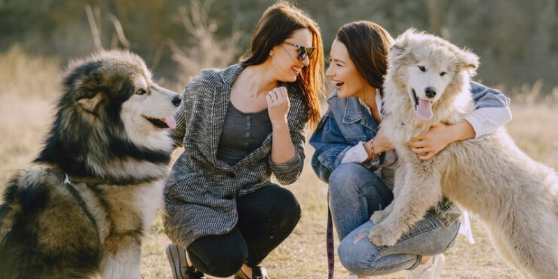 Explorando a Diversidade Canina: Conheça as Melhores Raças de Cães